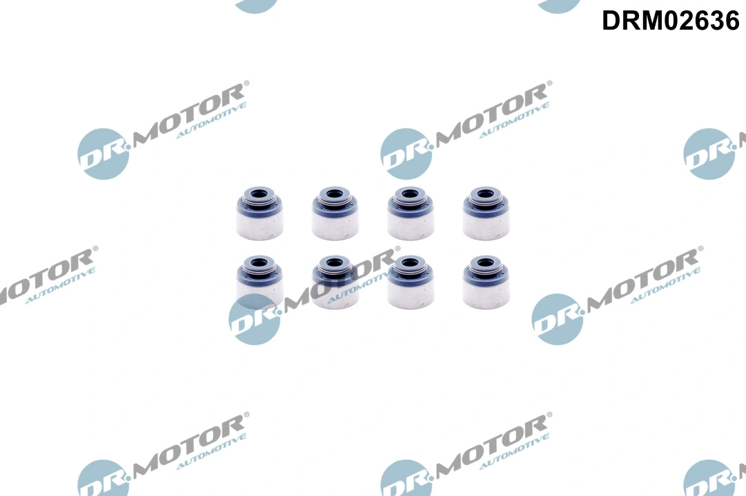 Seal Ring, valve stem